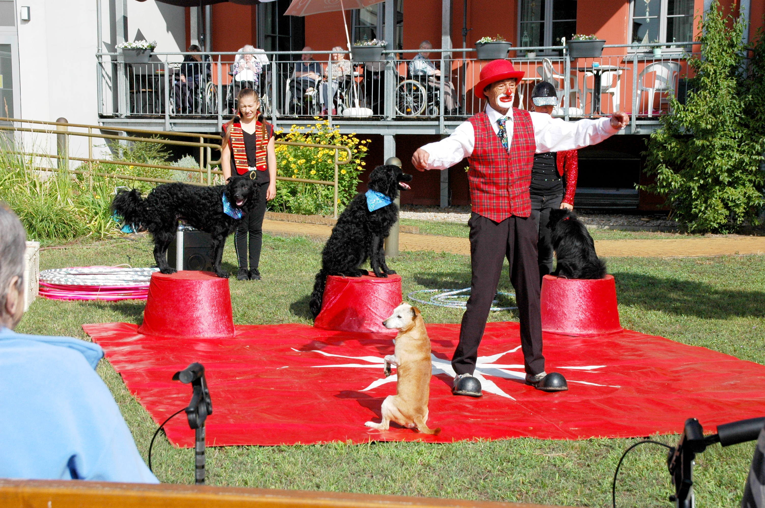 circus