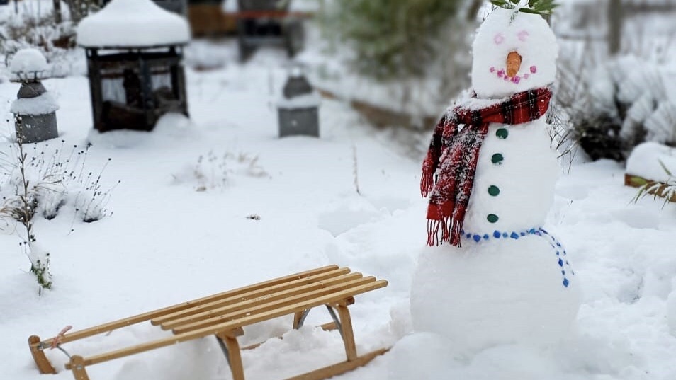 Schneemann ServiceLeben Holzhalbinsel